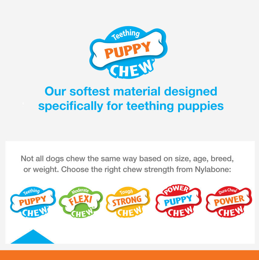 Nylabone Puppy Chew Freezer Dog Toy Peanut Butter, 1ea/SMall/Regular  Up To 25 Ibs. 1 ct