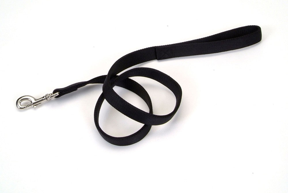 Coastal DoublePly Nylon Dog Leash Black, 1ea/1 In X 6 ft