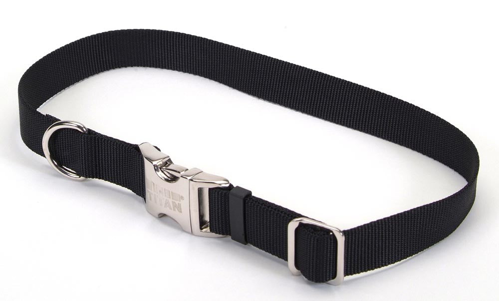 StarterBud™ | Puppy – Large (45-65 lbs)