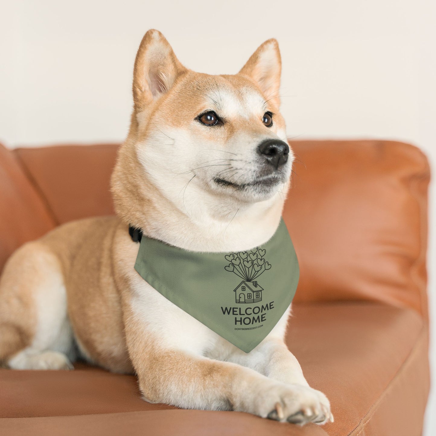 DBB | Welcome Home - Pet Bandana Collar