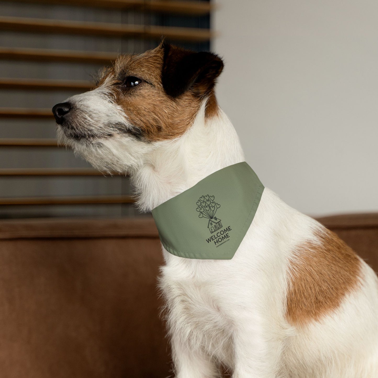 DBB | Welcome Home - Pet Bandana Collar