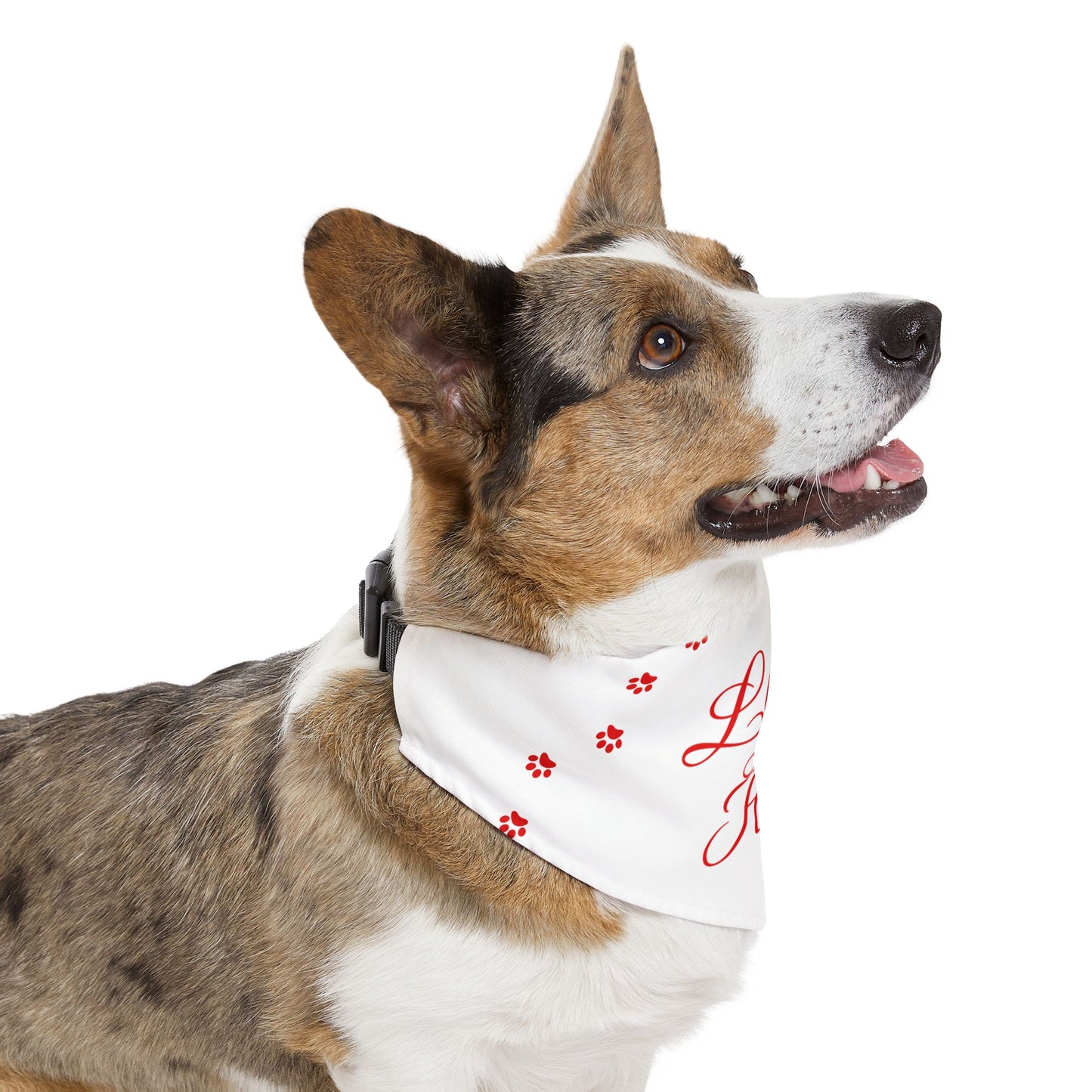 DBB | Loves And Hugs – Pet Bandana Collar ( White )