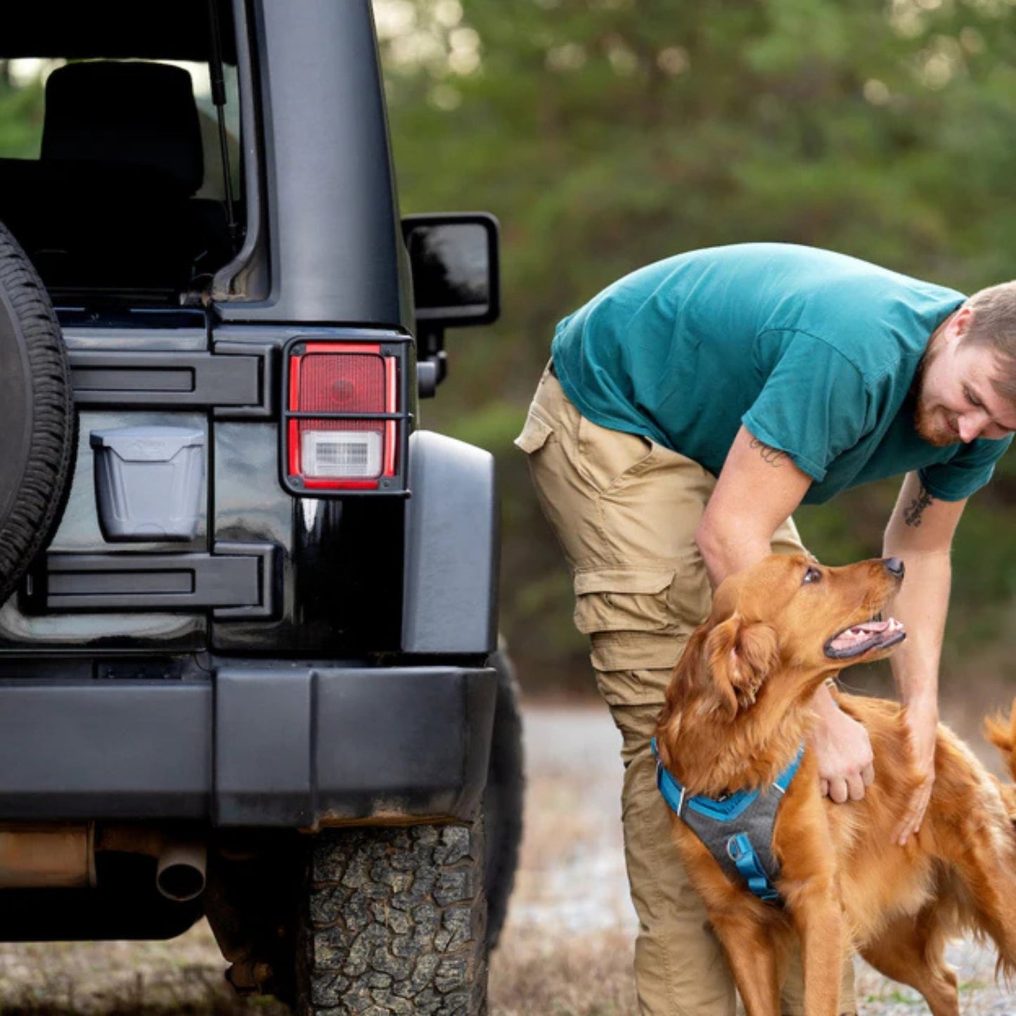 Kurgo Dog Tailgate Dumpster