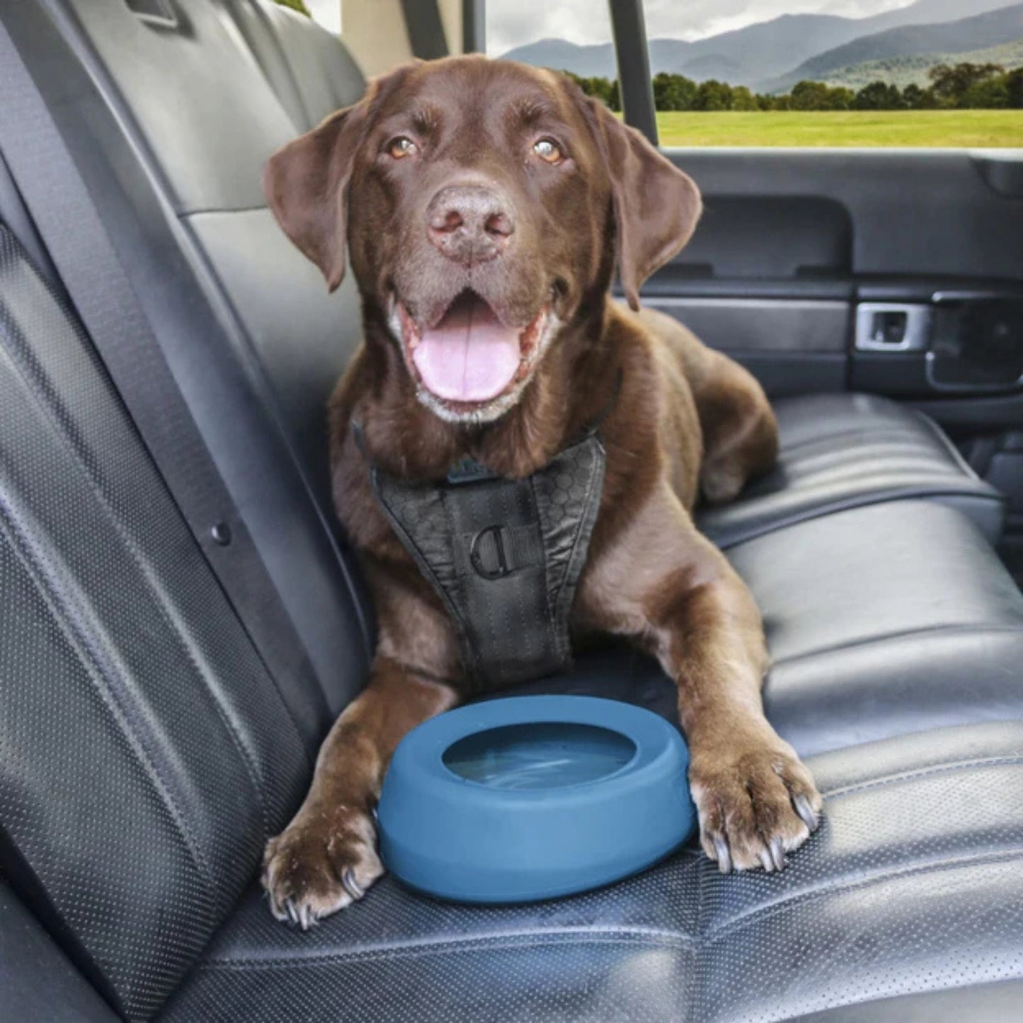 Kurgo Dog Wander Splash Free Water Bowl | Blue