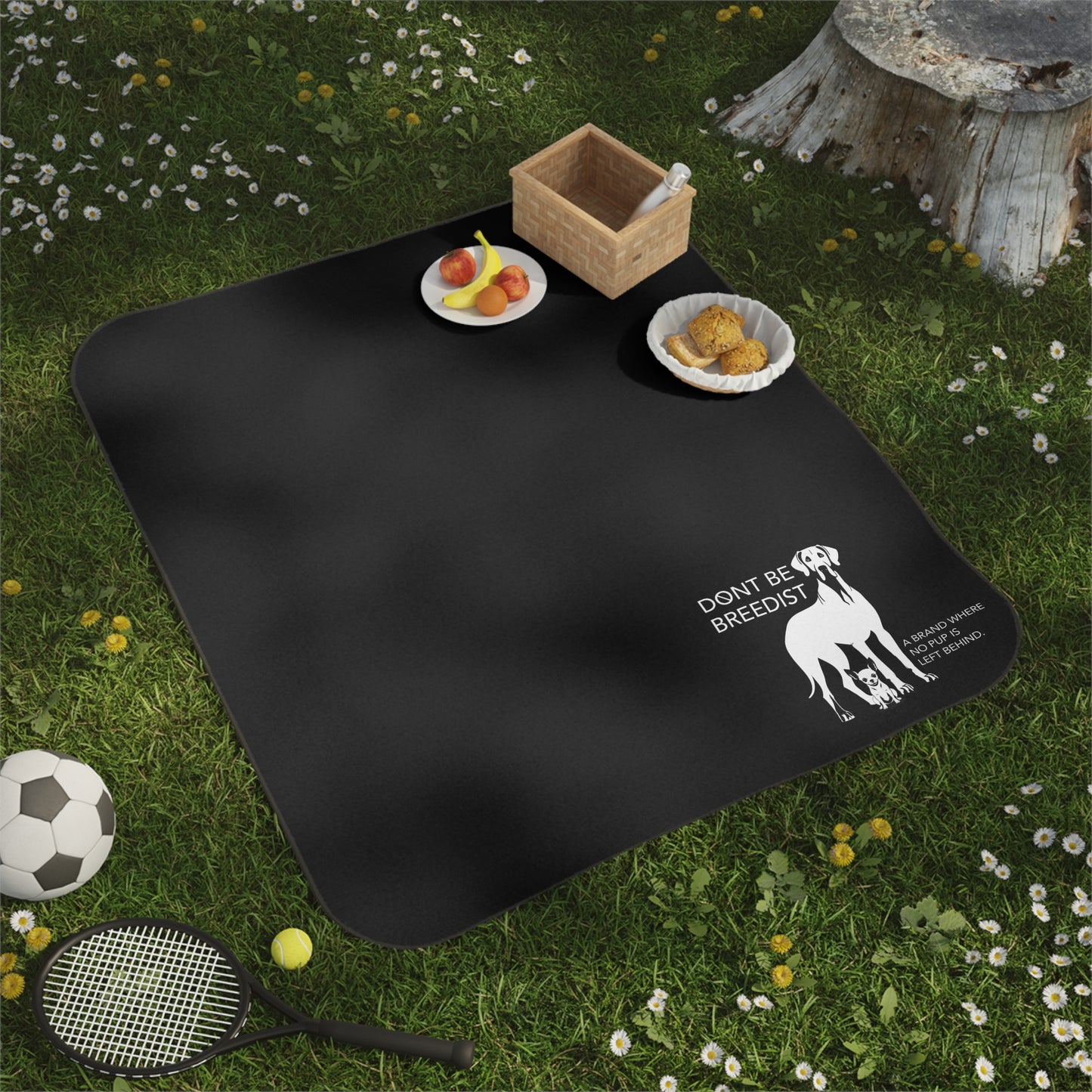DBB | Picnic Blanket