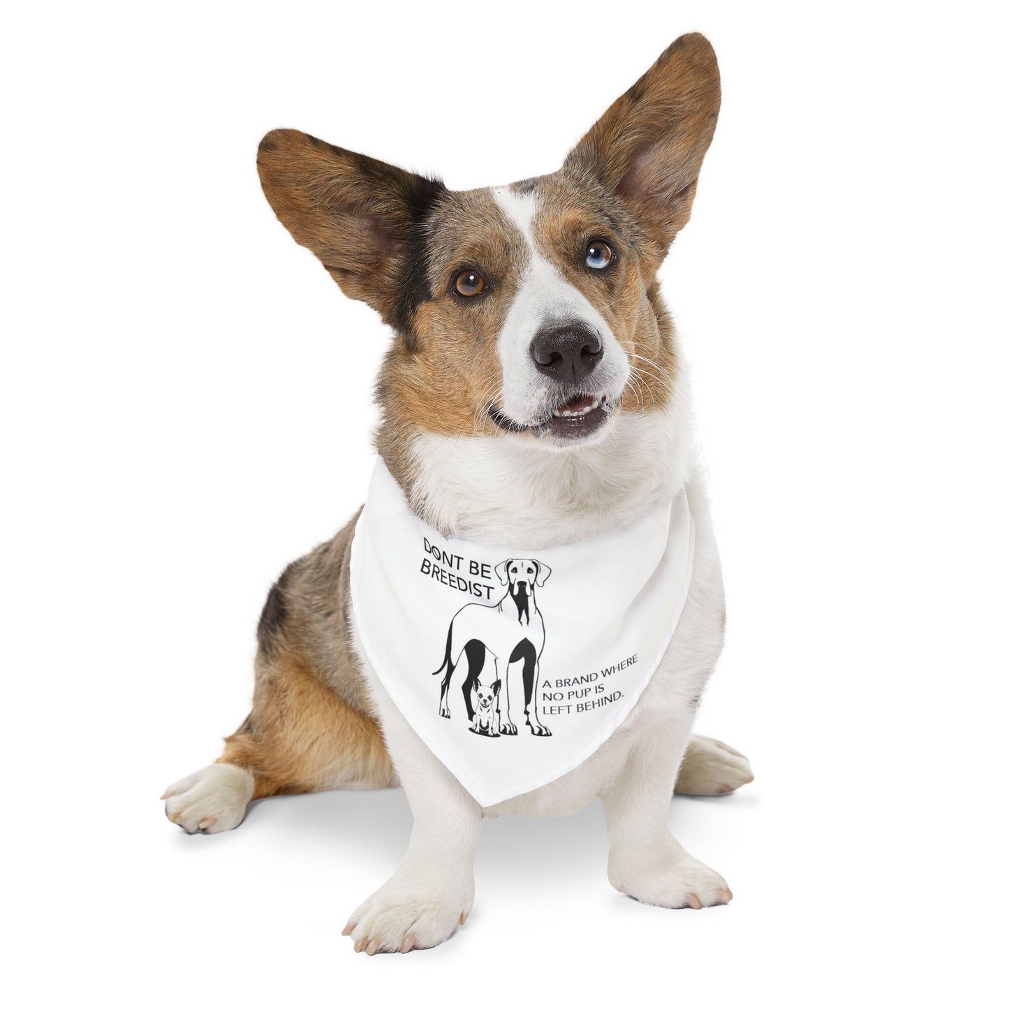 DBB | Awareness – Pet Bandana Collar