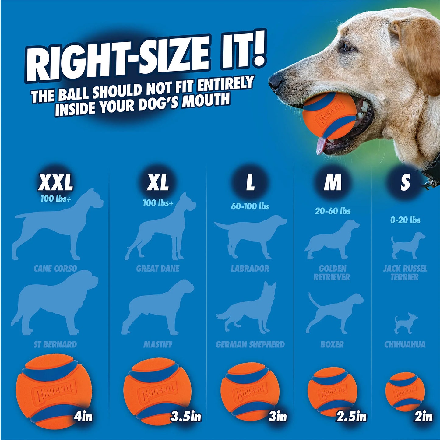 StarterBud™ | Puppy – Large (45-65 lbs)