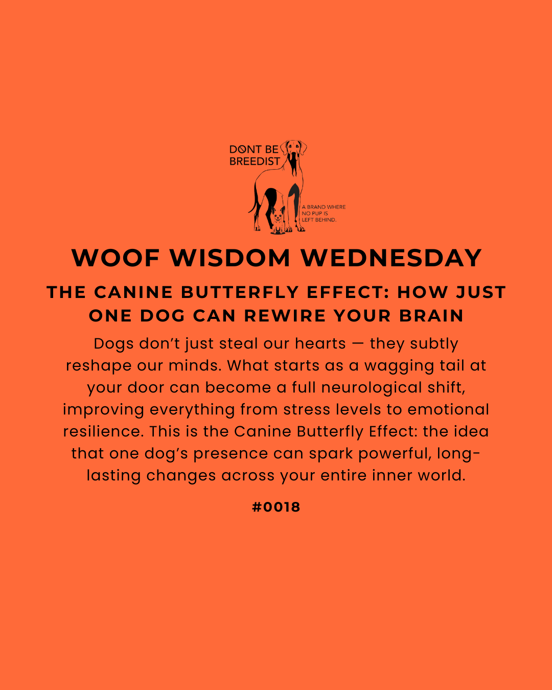 The Canine Butterfly Effect: How Just One Dog Can Rewire Your Brain
