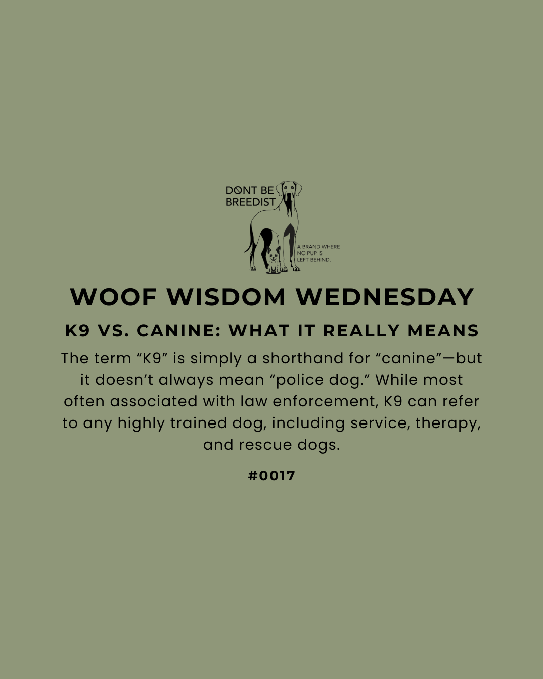 What “K9” Really Means — And Why It’s More Than Just Police Dogs