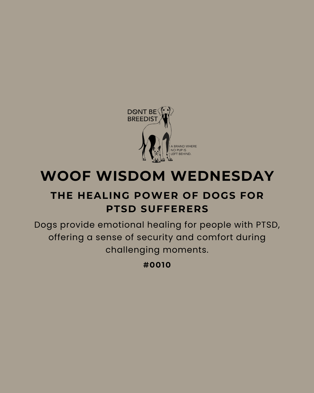 The Healing Power of Dogs for PTSD Sufferers