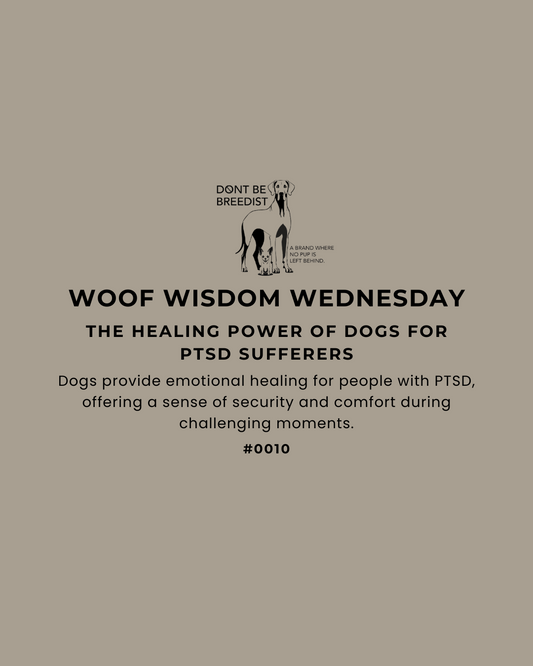 The Healing Power of Dogs for PTSD Sufferers