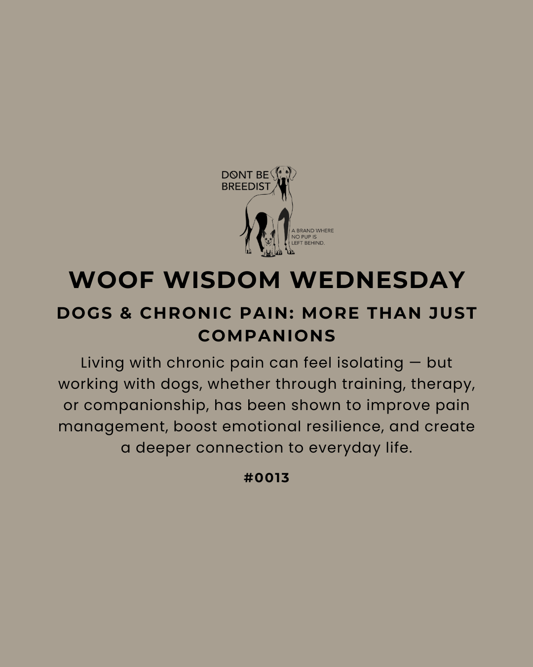 How Dogs Help with Chronic Pain Management
