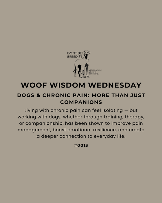 How Dogs Help with Chronic Pain Management