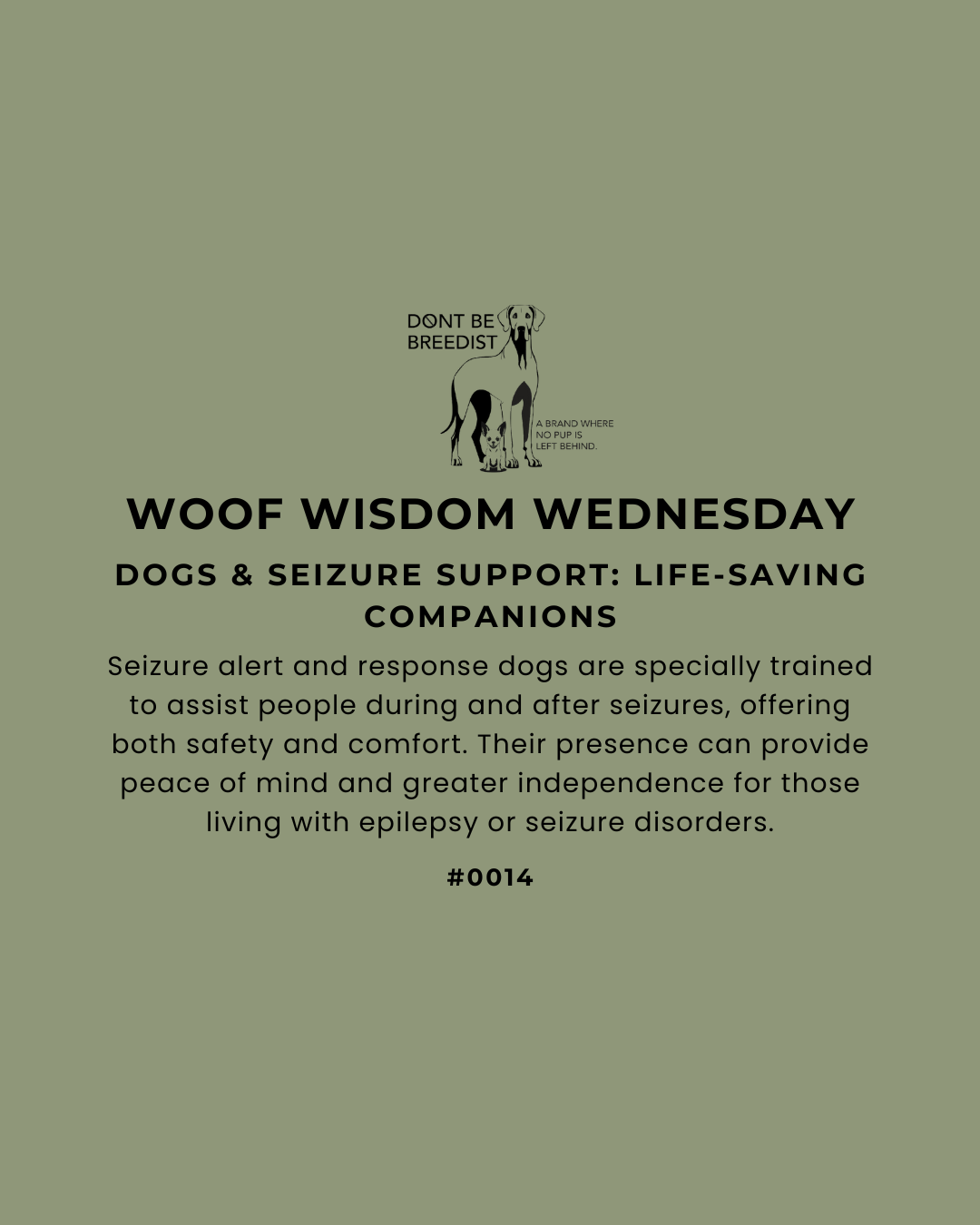 Dogs & Seizure Support: Life-Saving Companions