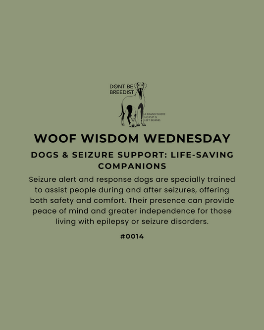 Dogs & Seizure Support: Life-Saving Companions