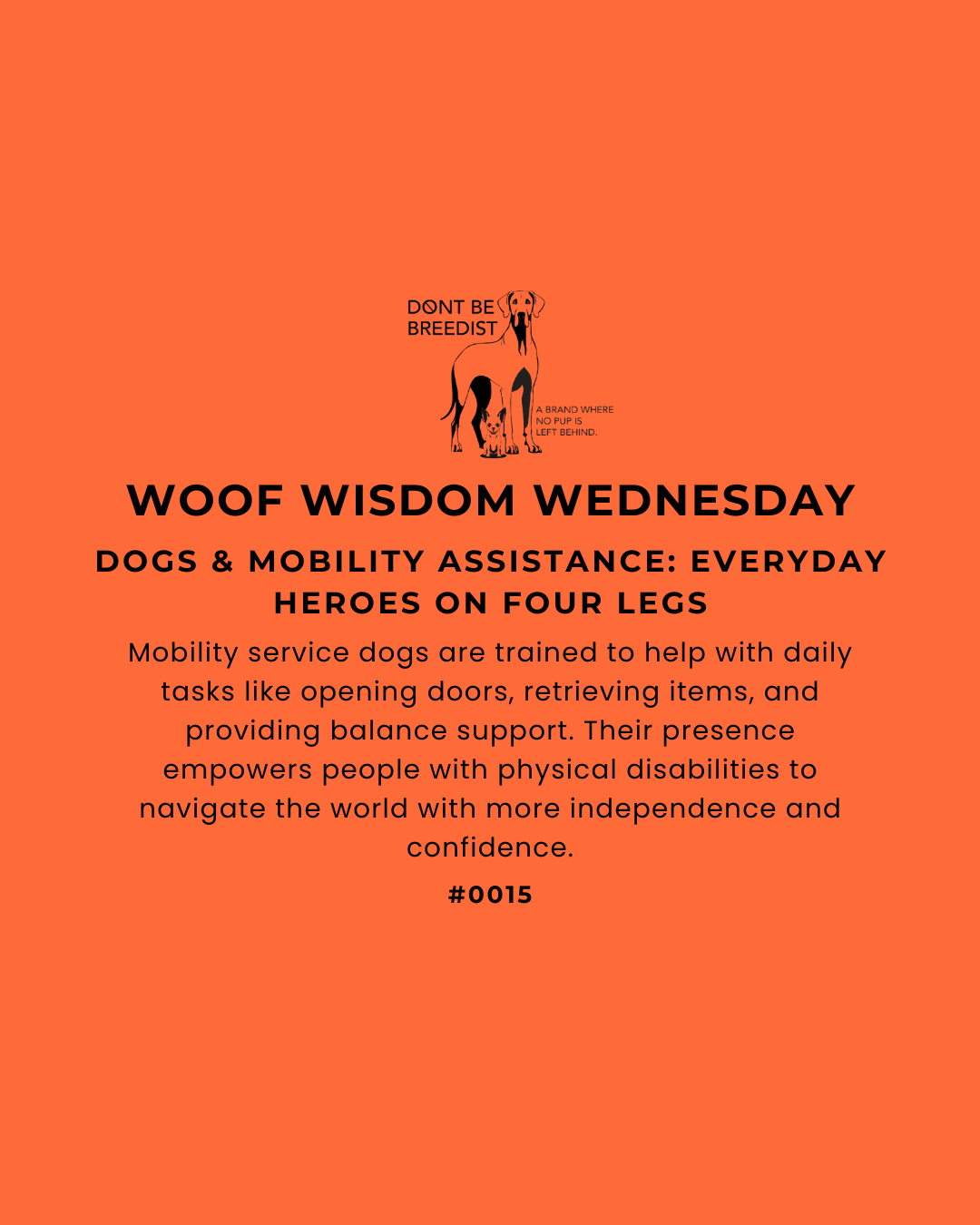 How Mobility Assistance Dogs Change Lives: Everyday Heroes on Four Legs