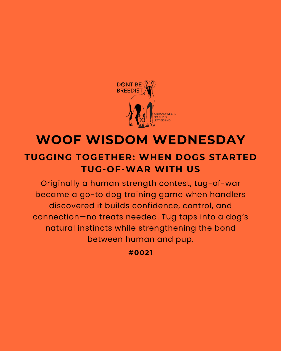 Tugging Together: When Dogs Started Tug-of-War with Us