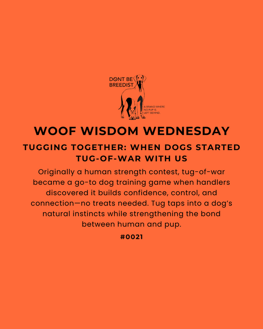 Tugging Together: When Dogs Started Tug-of-War with Us