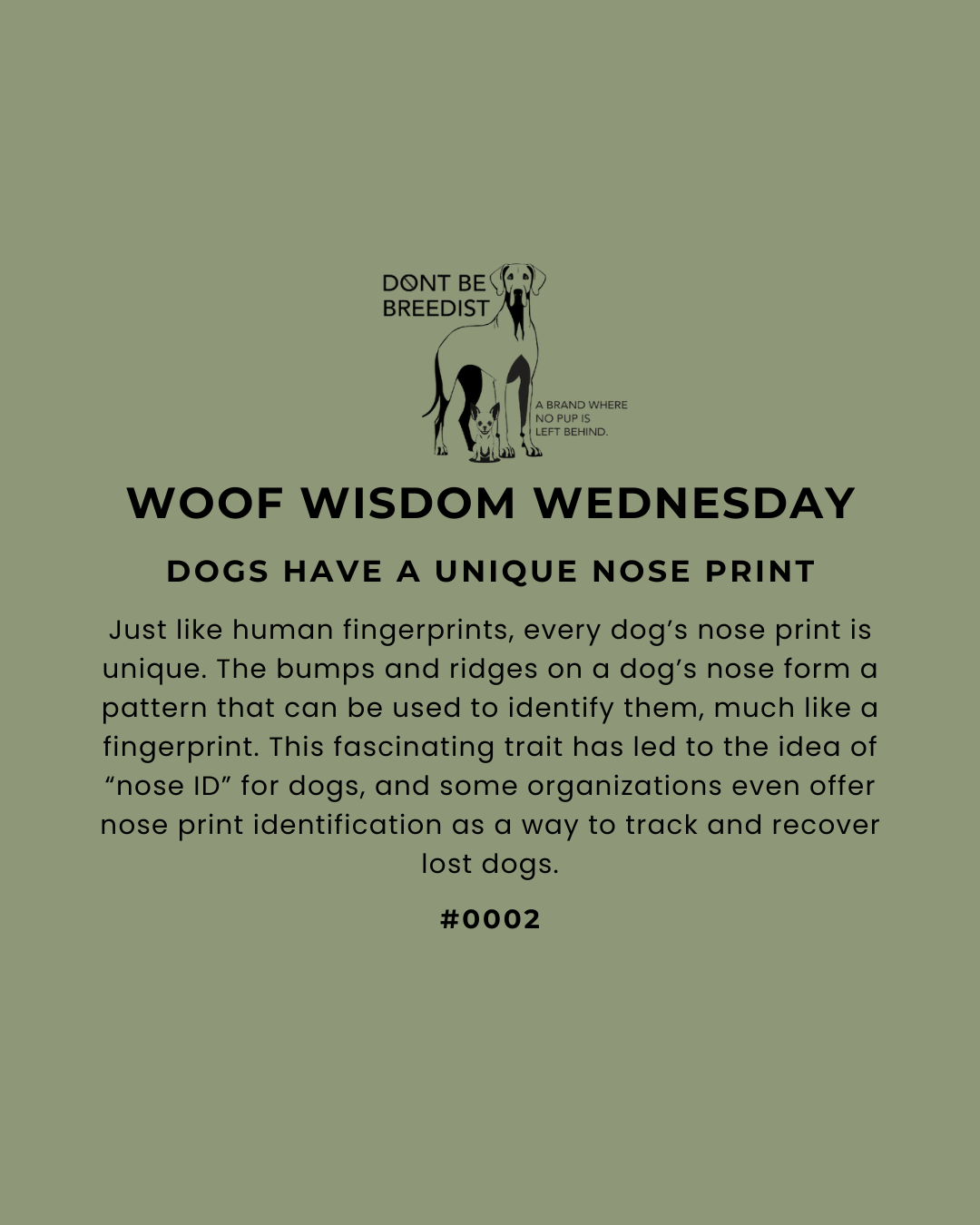 Logo with the title ‘Woof Wisdom Wednesday’ and a subtitle explaining how a dog’s nose print is as unique as a human fingerprint, highlighting its potential for identification and tracking lost dogs.