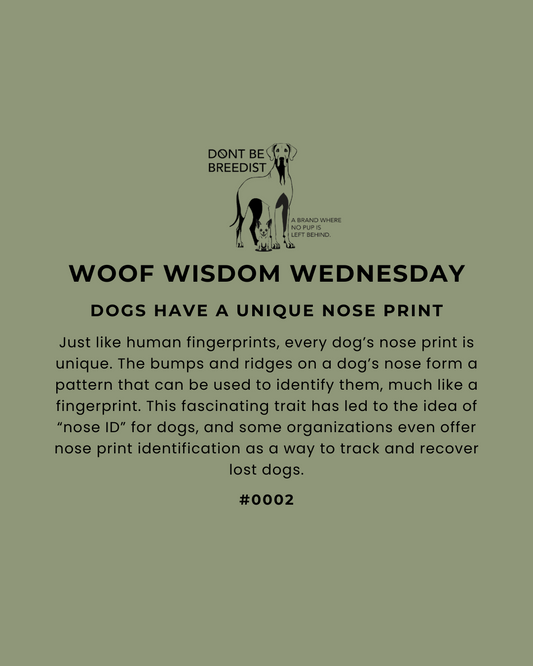 Logo with the title ‘Woof Wisdom Wednesday’ and a subtitle explaining how a dog’s nose print is as unique as a human fingerprint, highlighting its potential for identification and tracking lost dogs.