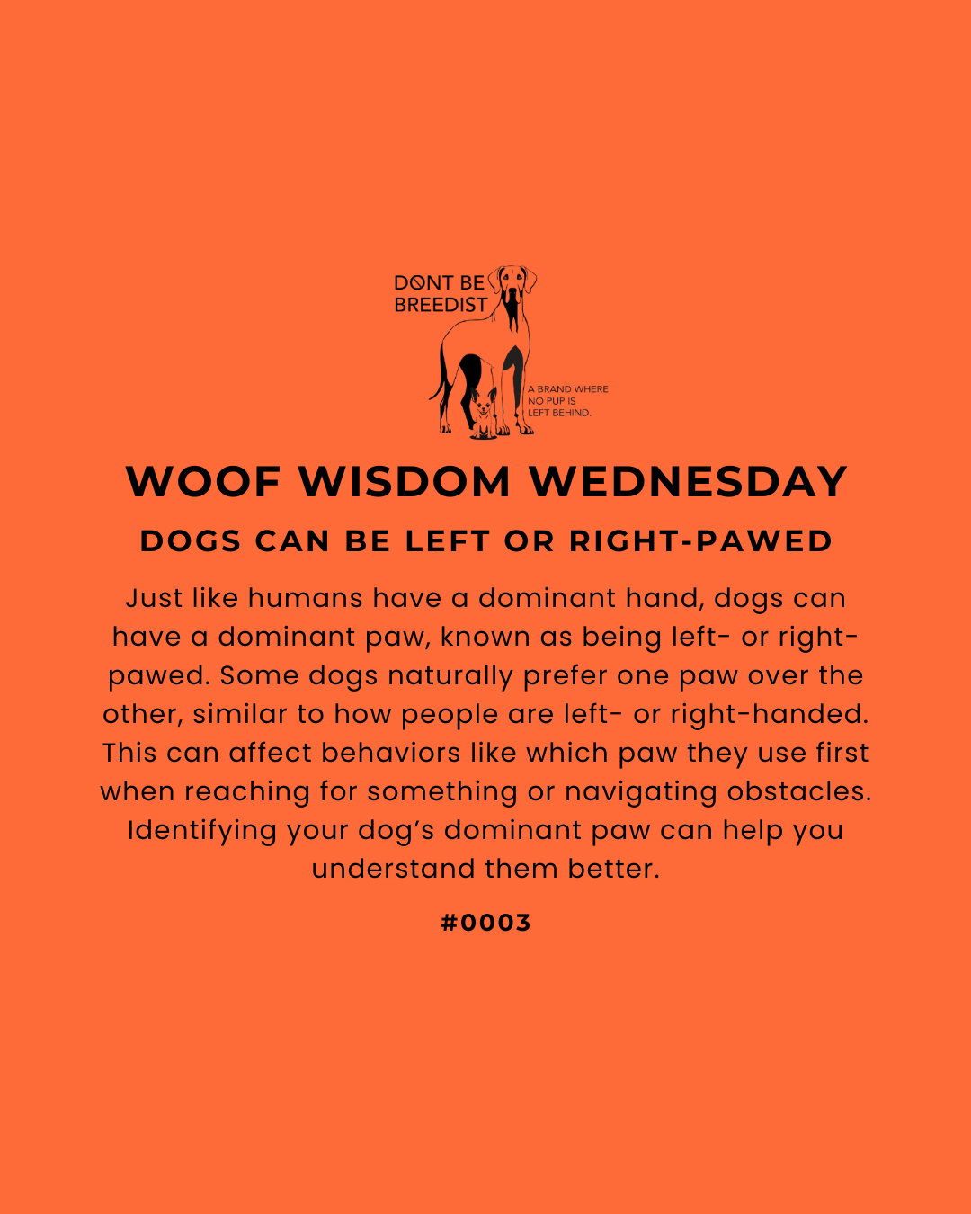 Woof Wisdom Wednesday: Is Your Dog Left or Right Pawed?