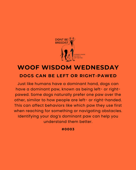 Woof Wisdom Wednesday: Is Your Dog Left or Right Pawed?