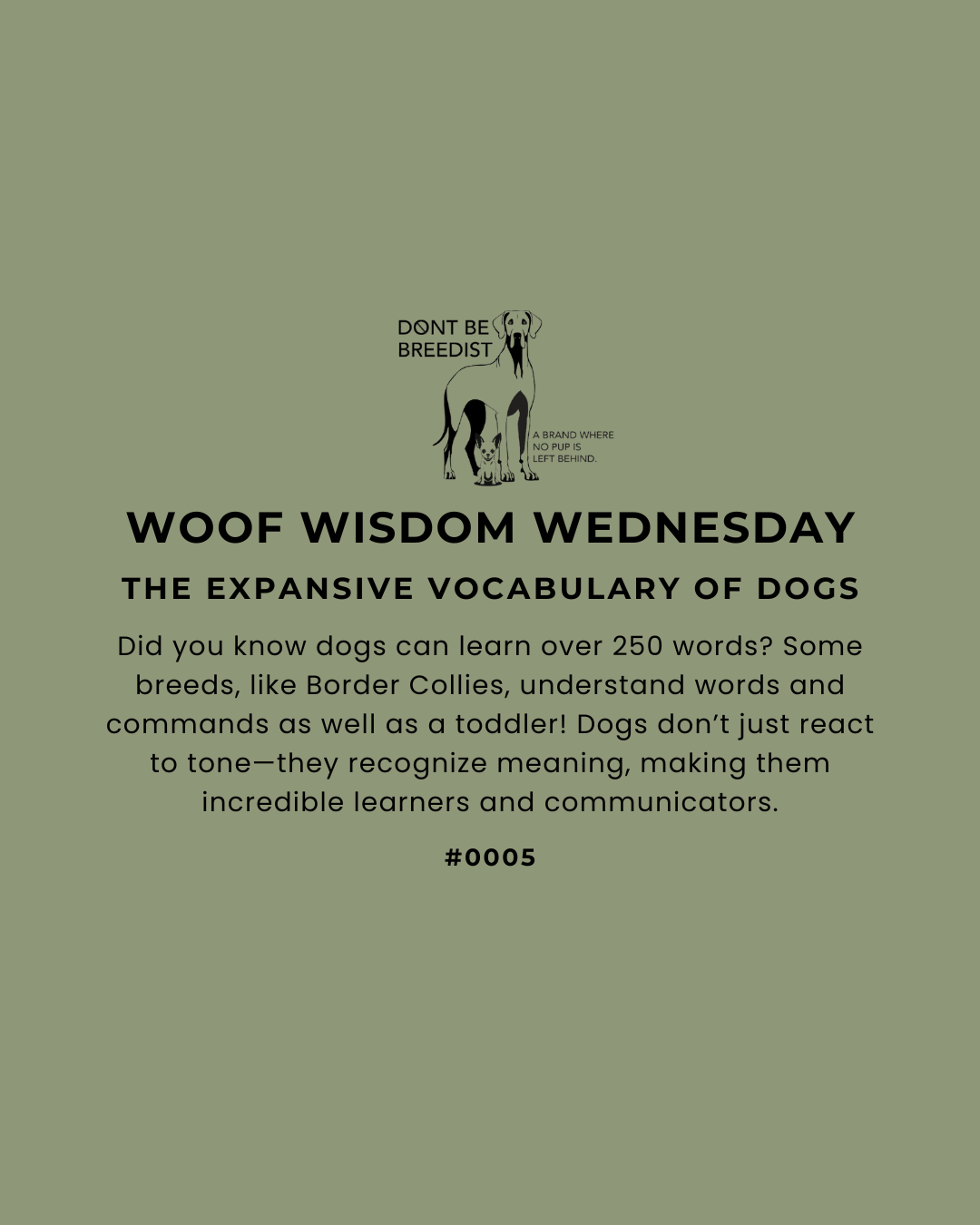 How Many Words Can Dogs Really Understand? Exploring the Expansive Vocabulary of Dogs