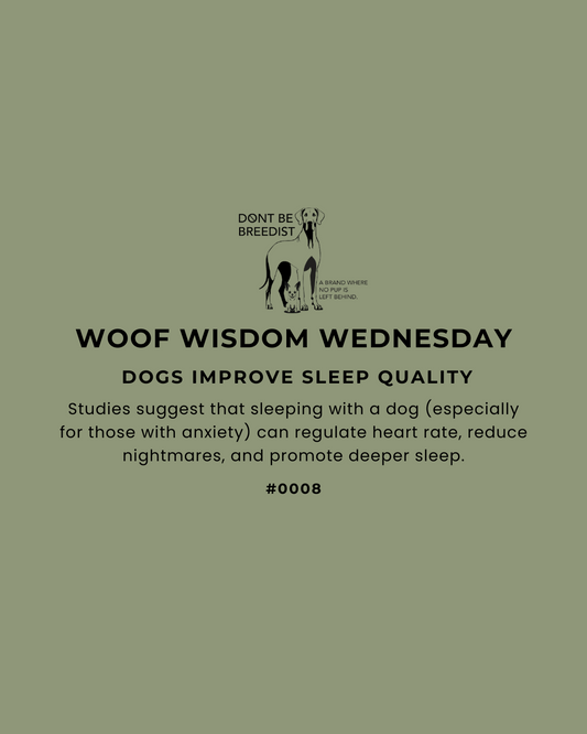 How Sleeping with Your Dog Can Improve Sleep Quality and Reduce Anxiety