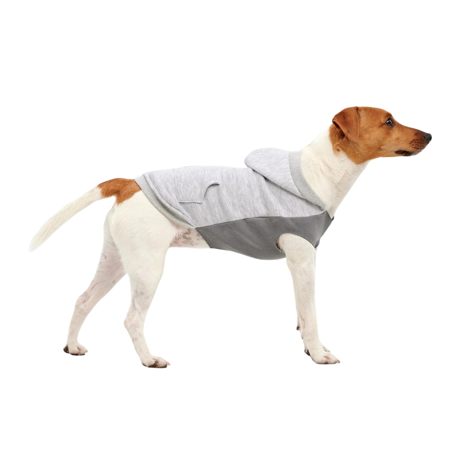 Dog Sweatshirts