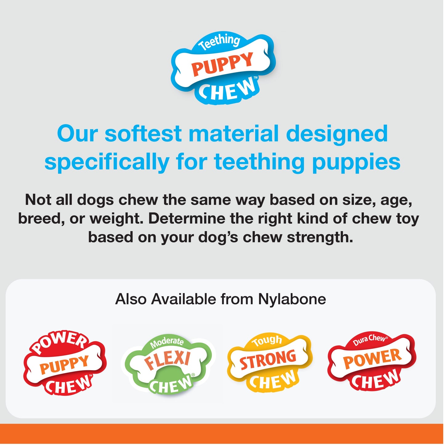 Nylabone Puppy Starter Kit Dog Chew Toys  Treat Chicken  Bacon, 1ea/SMall/Regular  Up To 25 Ibs. 3 ct