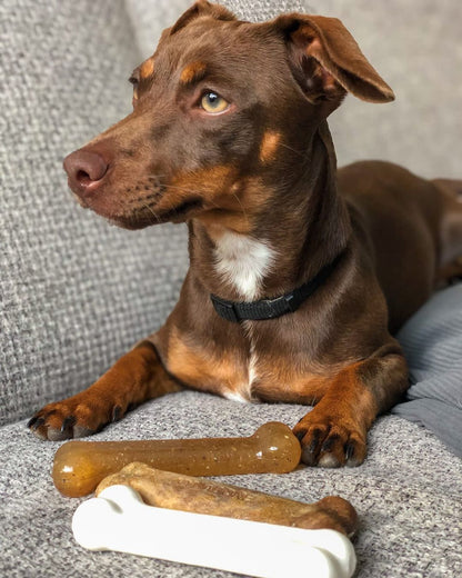 Nylabone Puppy Starter Kit Dog Chew Toys  Treat Chicken  Bacon, 1ea/SMall/Regular  Up To 25 Ibs. 3 ct