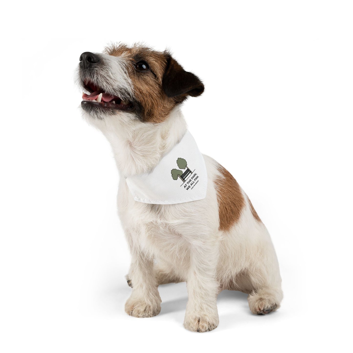 DBB | At The Park, We All Fam – Pet Bandana Collar