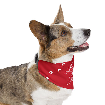 DBB | Loves And Hugs – Pet Bandana Collar ( Red )