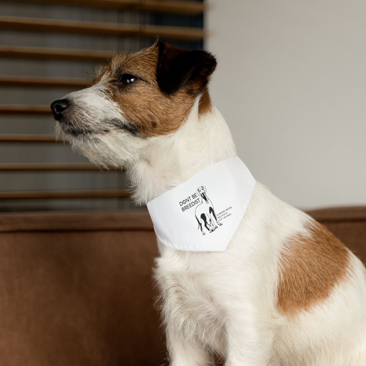 DBB | Awareness – Pet Bandana Collar