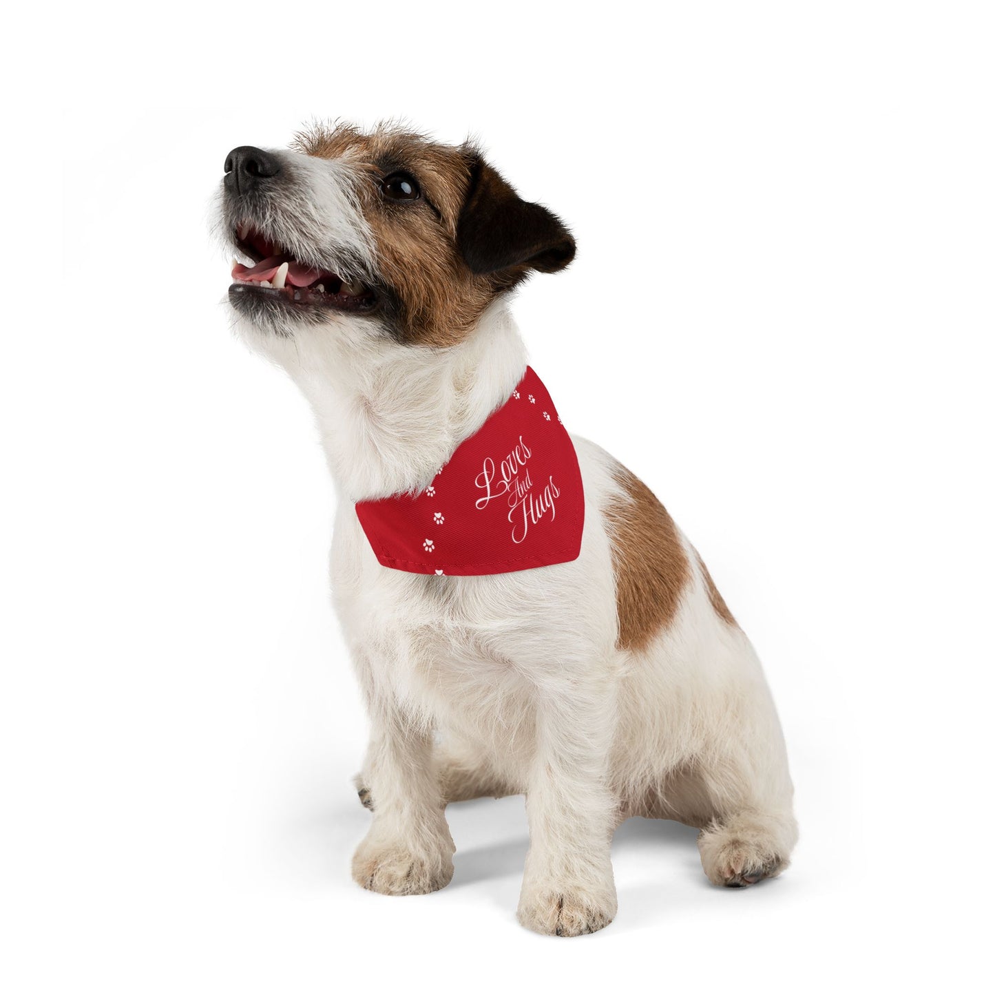DBB | Loves And Hugs – Pet Bandana Collar ( Red )