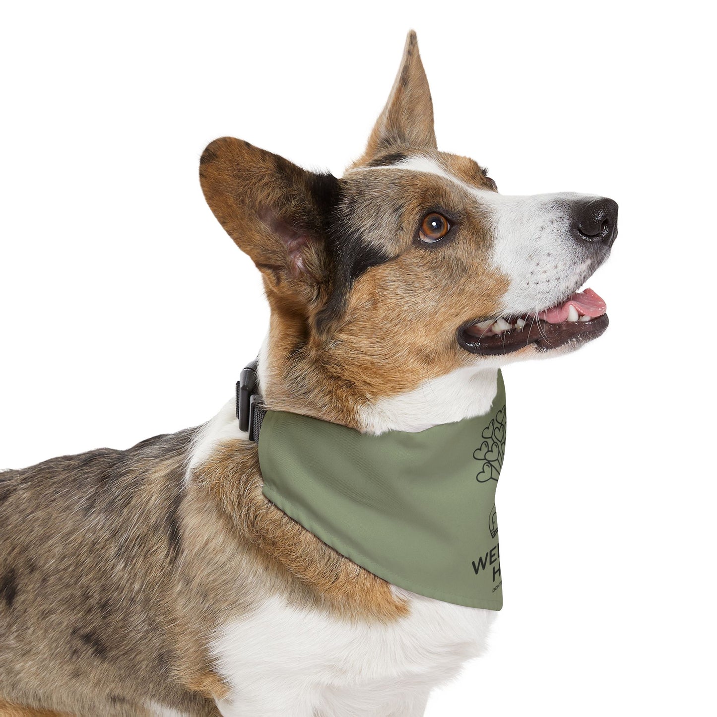 DBB | Welcome Home - Pet Bandana Collar
