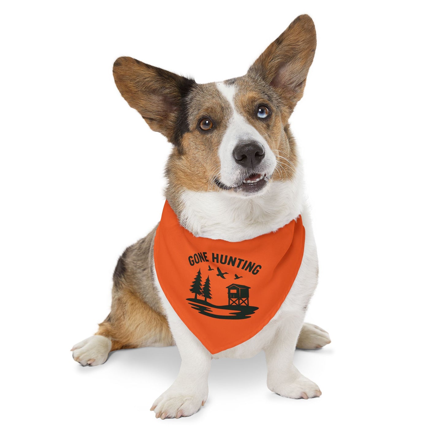 DBB | Gone Hunting - Pet Bandana Collar