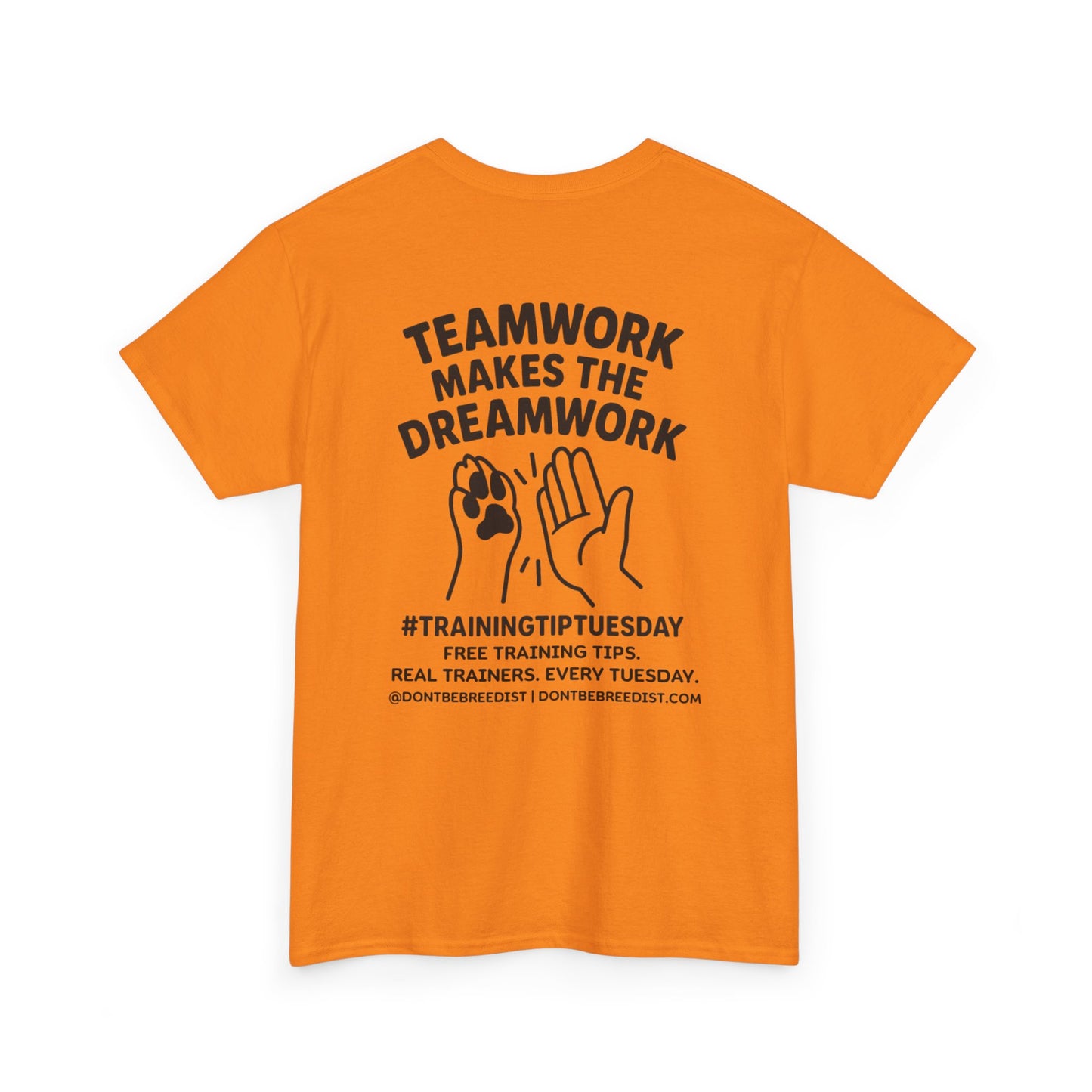 DBB | Teamwork Makes The Dream Work Unisex Heavy Cotton Tee