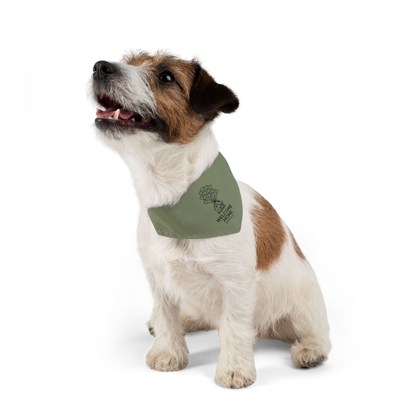 StarterBud™ | Puppy – Small (Up To 25 lbs)