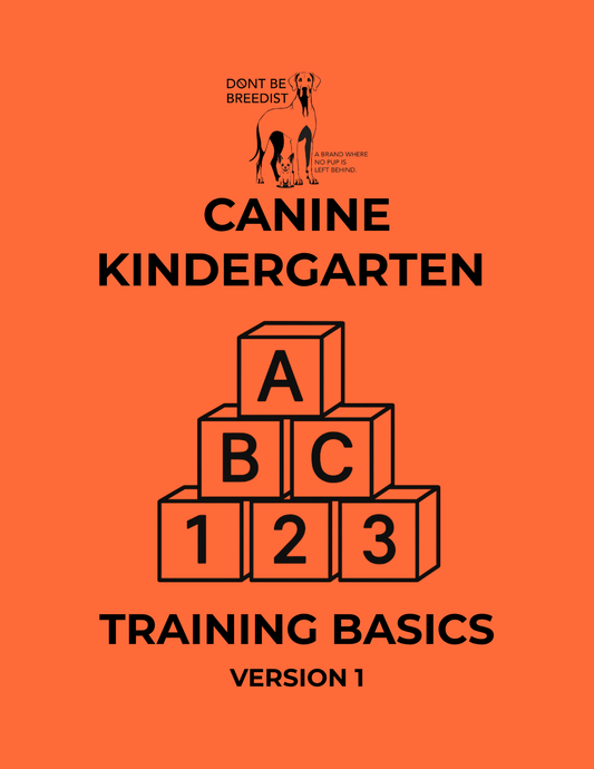 DBB | Canine Kindergarten: Training Basics (Digital Download)