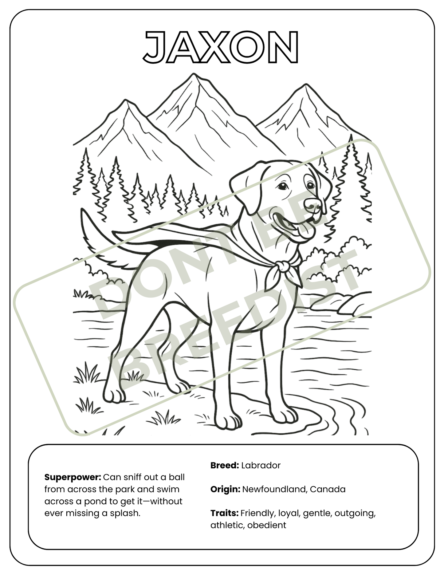 The Hero Dog | Coloring Book (Digital Download)