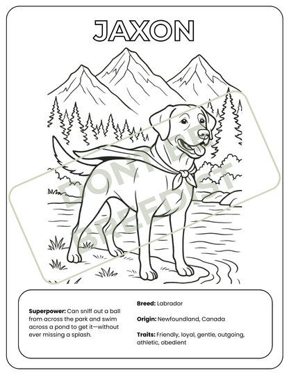 The Hero Dog | Coloring Book (Digital Download)