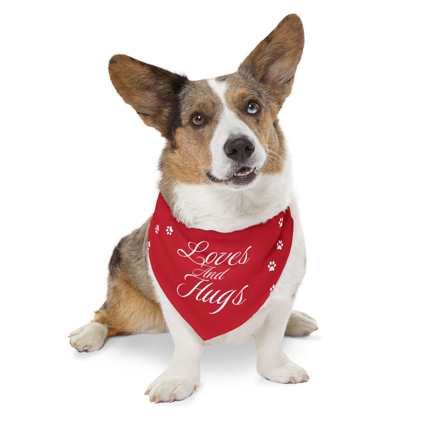 DBB | Loves And Hugs – Pet Bandana Collar ( Red )