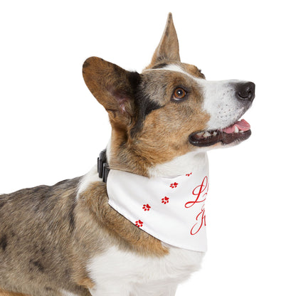 DBB | Loves And Hugs – Pet Bandana Collar ( White )