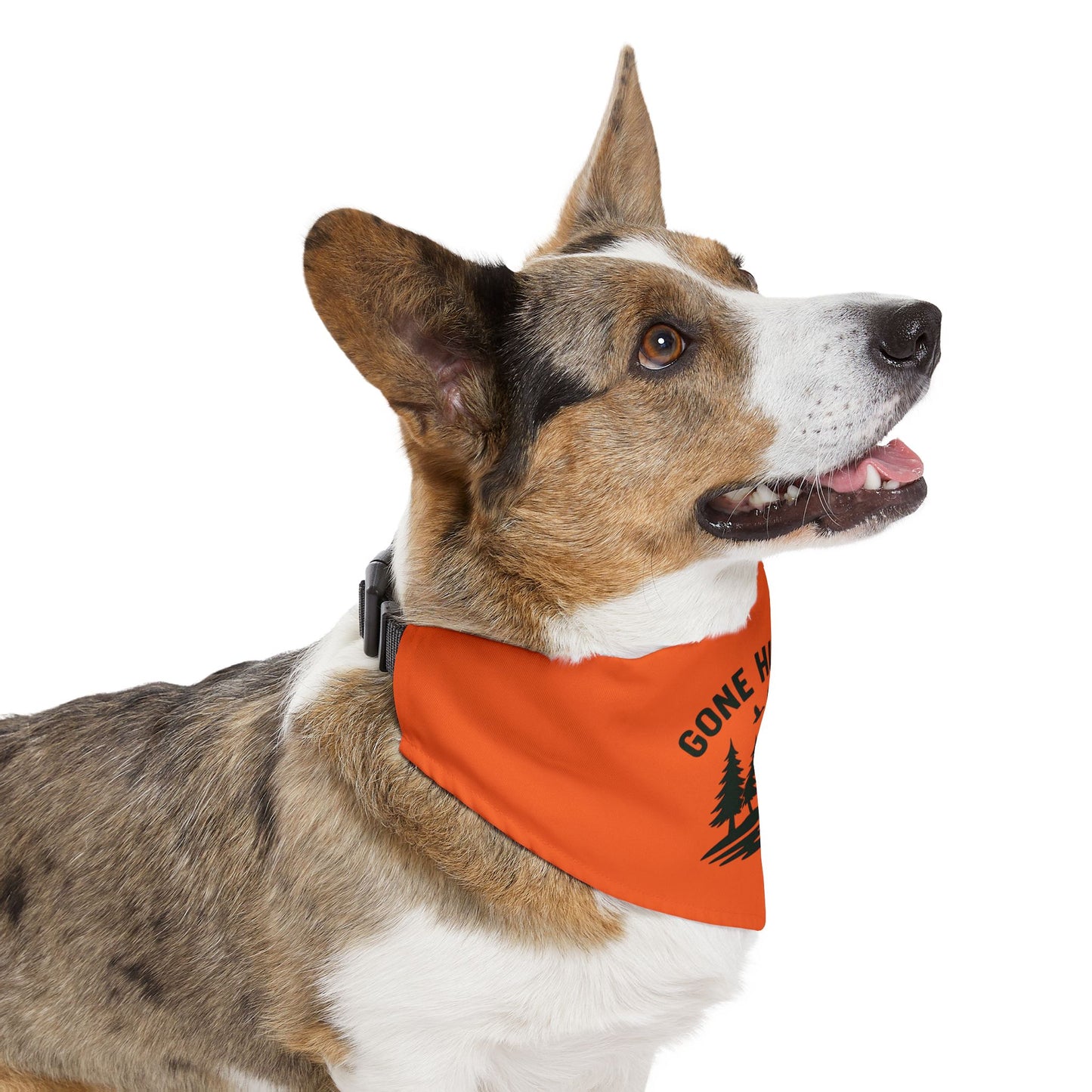 DBB | Gone Hunting - Pet Bandana Collar