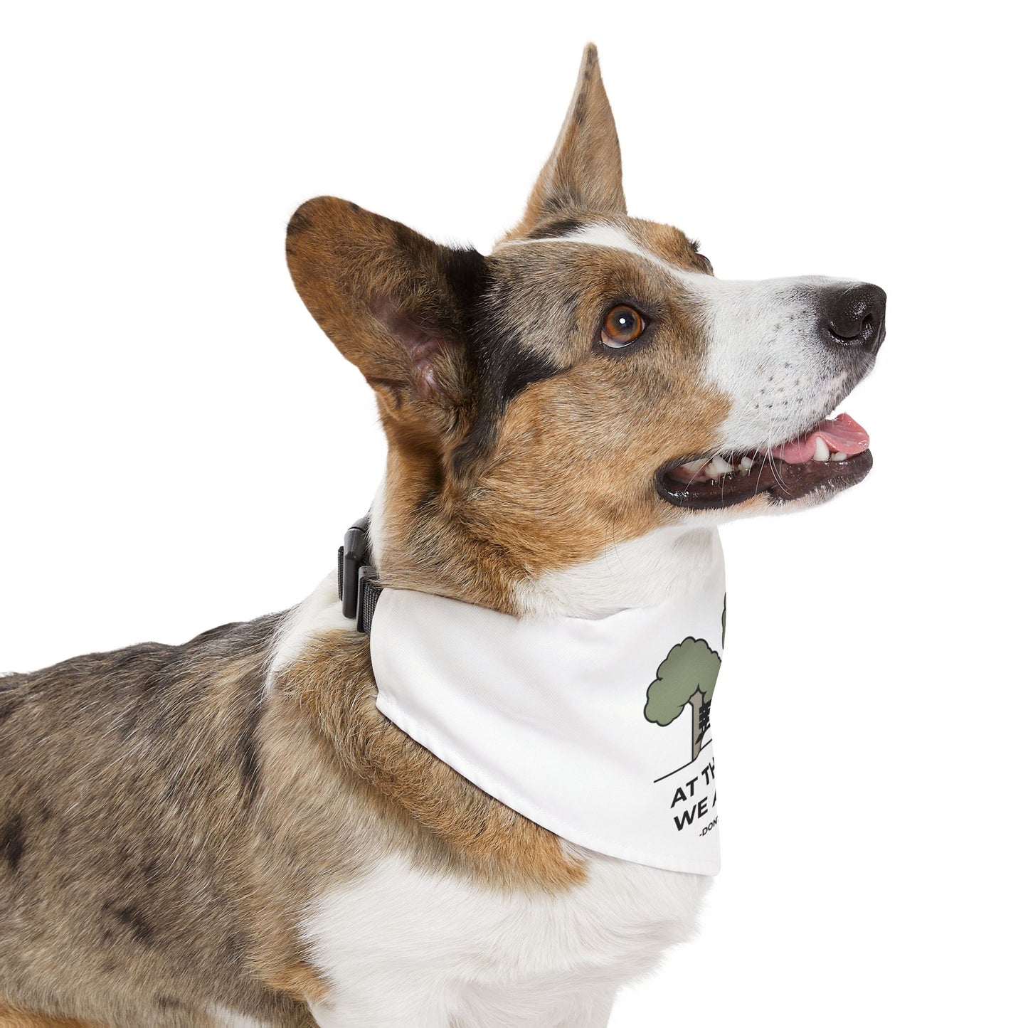DBB | At The Park, We All Fam – Pet Bandana Collar