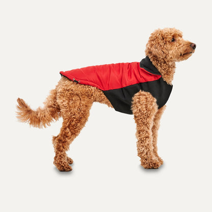 Goo-Eez Mock Neck Signature Dog Jacket Red/Black Large