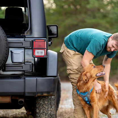 Kurgo Dog Tailgate Dumpster