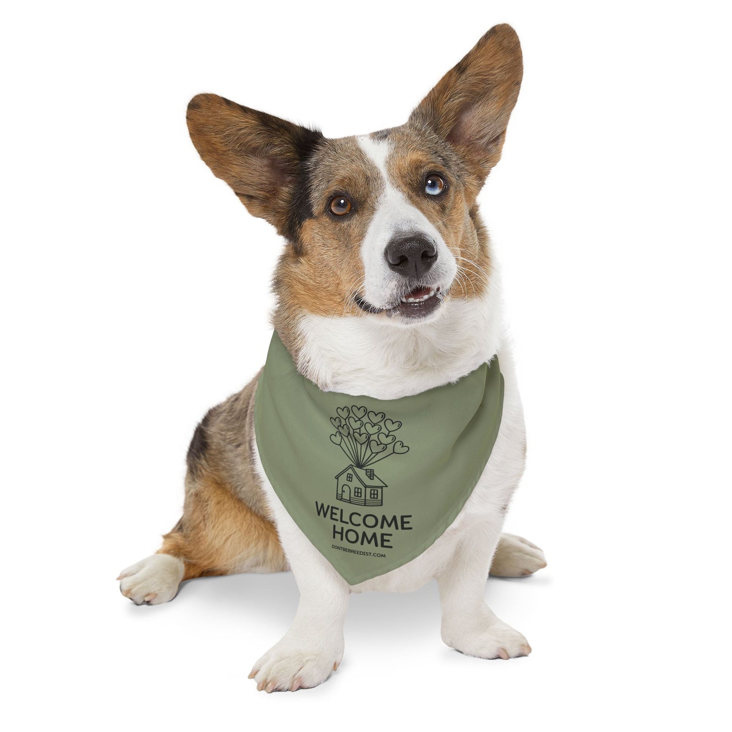 StarterBud™ | Puppy – Large (45-65 lbs)