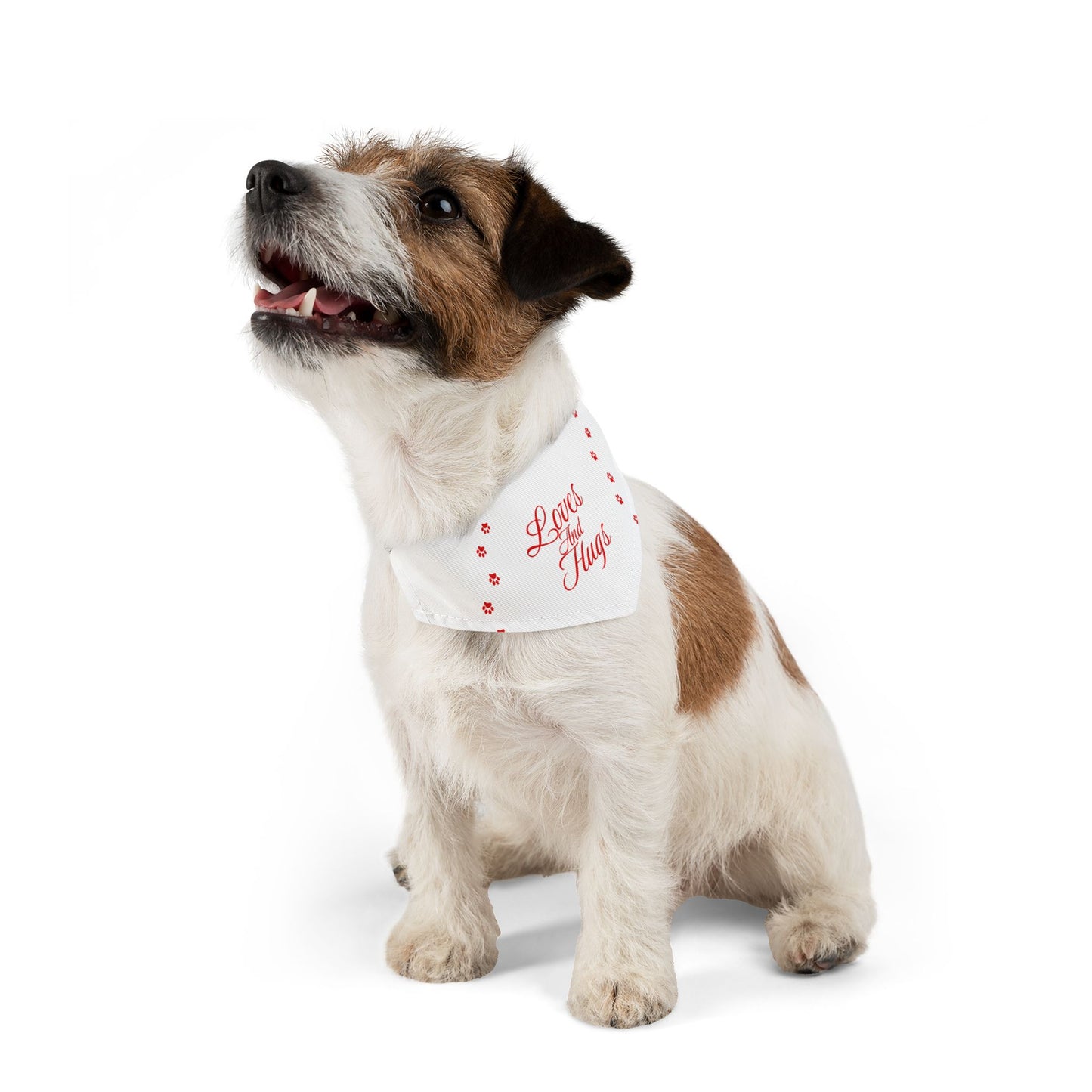 DBB | Loves And Hugs – Pet Bandana Collar ( White )